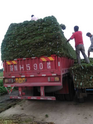 橋頭直達(dá)荊州市 物流回程車與普通道路貨物運輸代理服務(wù)解析
